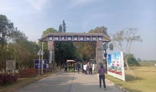 珠海淇澳岛好玩吗