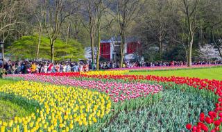 杭州最帅公交车司机